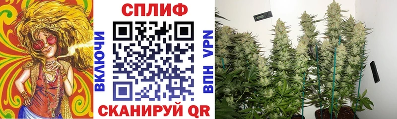 Все наркотики Торжок Кокаин  Галлюциногенные грибы  СОЛЬ  МАРИХУАНА  MDMA  АМФЕТАМИН  ГАШ 
