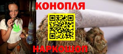 прущие грибы Рыбинск