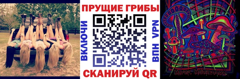 Псилоцибиновые грибы Psilocybe Торжок