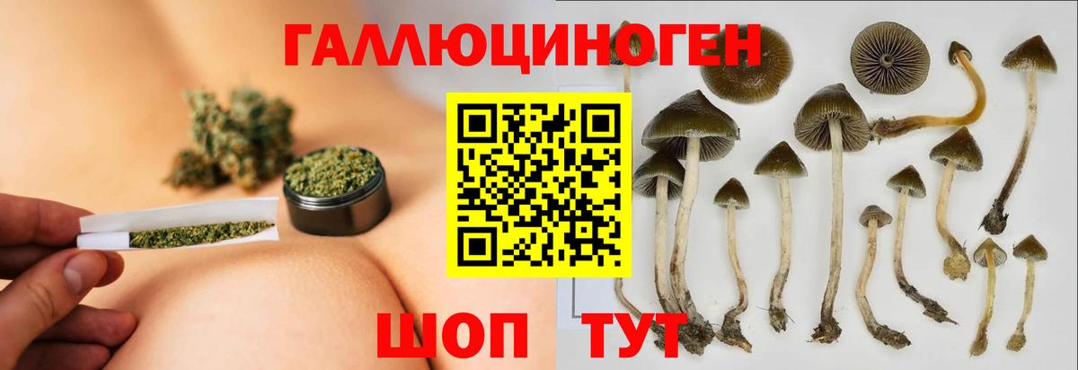 Галлюциногенные грибы Magic Shrooms Торжок